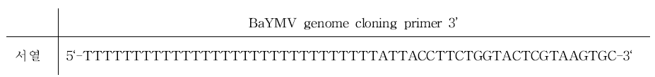 BaYMV genome cloning primer 3′