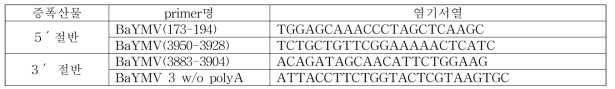 BaYMV 증폭 primer 조합