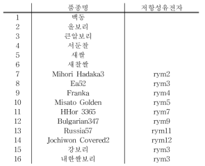 보리누른모자이크병 저항성검정 유전자원