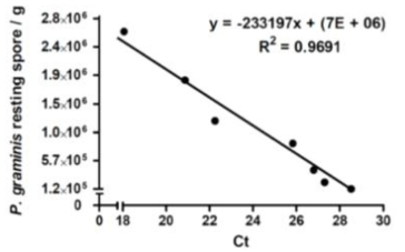 Standard curve generated between the number of P. resting spores and Ct values of P. graminis