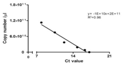 The standard curve for the determination of copy number of BaYMV from the Ct value of coat protein amplication