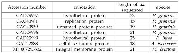 The potential candidate genes of P. graminis interacting with BaYMV P1 protein.