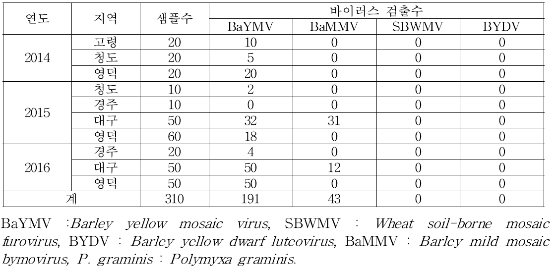 보리 시료에서 바이러스 검정결과