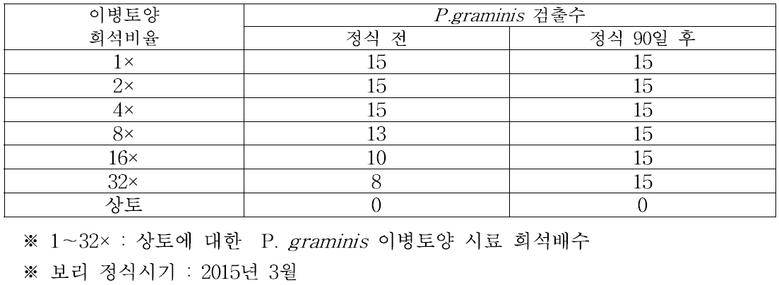 P . graminis 감염토양 희석밀도별 PCR 검정결과