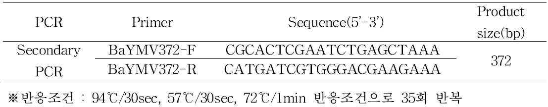 토양에서 BaYMV 검출을 위한 2차 PCR 프라이머l