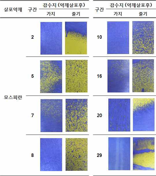 농약살포 처리구역별 감수지 피복정도-사과원 4월 약제살포