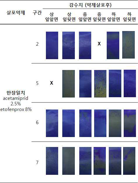 농약살포 처리구역별 감수지 피복정도-사과원 6월 약제살포