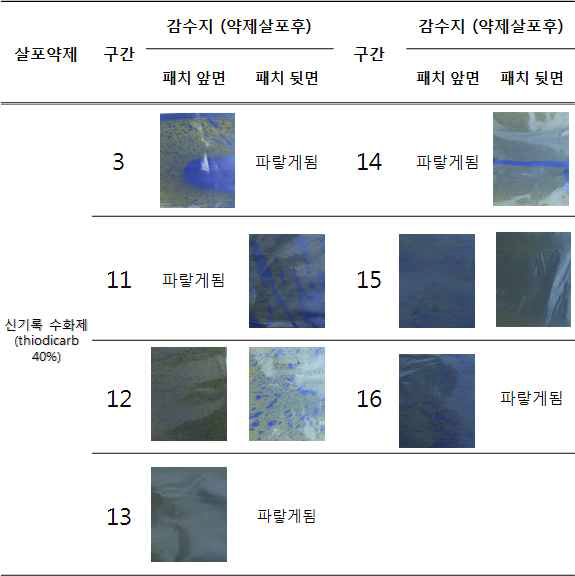 농약살포 처리구역별 감수지 피복정도-사과원 8월 약제살포