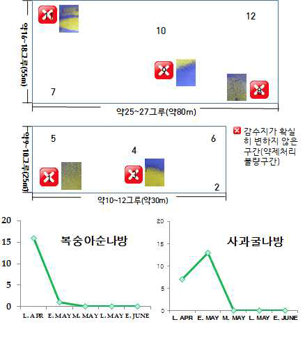 포장①에서의 14년도 acetamiprid 8% 약제에 대한 감수지결과 및 나방류 방제효과