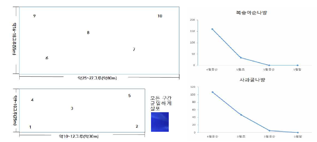 포장 ①에서의 Diflubenzuron 25% 약제에 대한 처리방법 및 방제효과