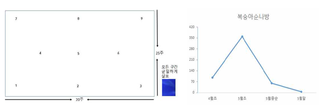 포장 ③에서의 lufenuron 2.5% 약제에 대한 처리방법 및 방제효과