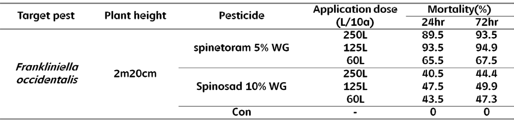 식물 초장(2m 20cm)에 따른 spinetoram 5%와 spinosad 10%의 살포물량별 꽃노랑총채 벌레의 사충률