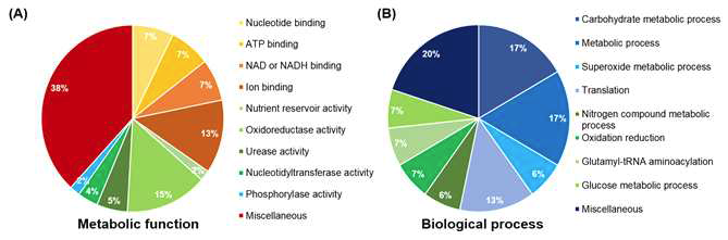 동정된 단백질 spot의 gene ontology 분석