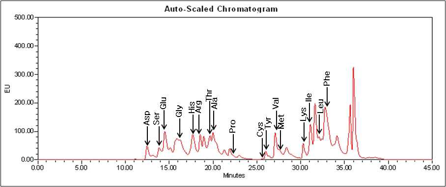 대원콩 정상종자의 구성 아미노산 분석 HPLC 크로마토그램