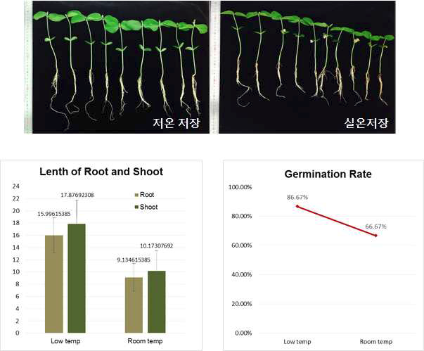 정상 수확 종자의 저온 및 실온 저장 후 germination test 결과