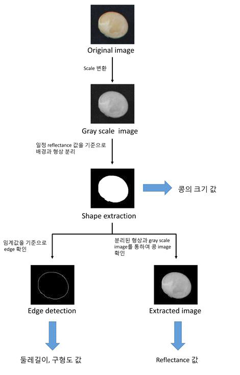 자동화 프로그램을 이용한 콩의 영상분석 알고리즘