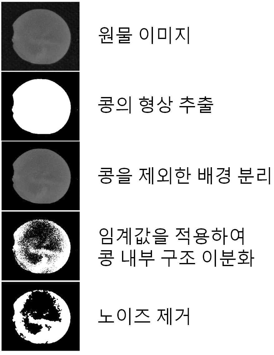 콩의 내부 구조 확인을 위한 이미지 분석 과정