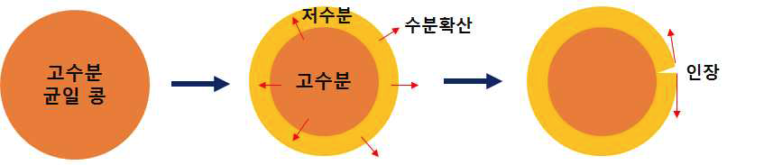 건조 시작 후 열피립 발생 기작