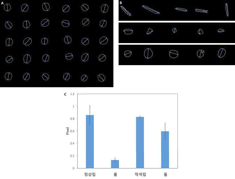 영상분석에 의한 콩의 구형도 평가 (A) 정상립 개별 이미
