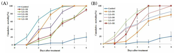 배추좀나방 3령 유충에 대한 선발 FT83(A), FG340(B)균주의 농도별 살충율.