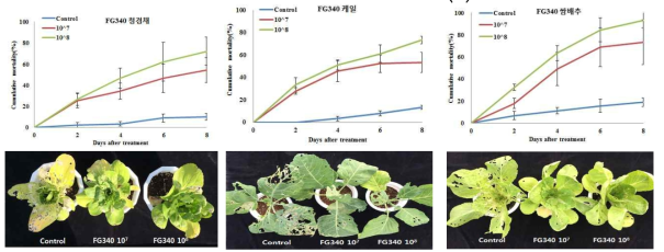 곤충병원 곰팡이 P. fumosoroseus FG340 균주의 파밤나방 포장방제 효과.