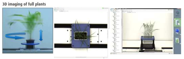 LemnaTec 3D Scanalyzer를 활용한 벼 유묘의 영상정보 획득