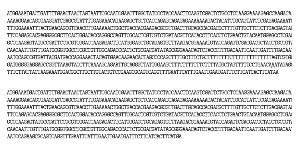 효모 유래 HAC1 유전자의 unsplicing HACU1u의 게놈 DNA 염기서열 splicing 형태(HAC1s)의 전체 cDNA 염기서열(하).