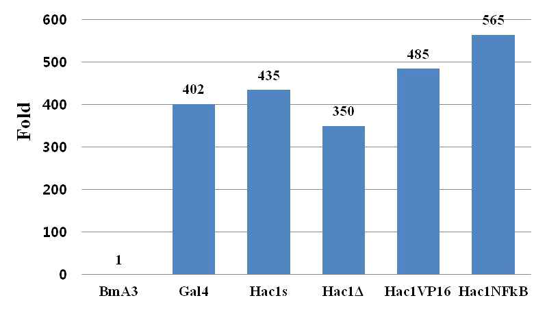 누에알에서의 4종 HAC1 융합형 전사활성 인자 도입 시스템 간 Luciferase 활성 분석