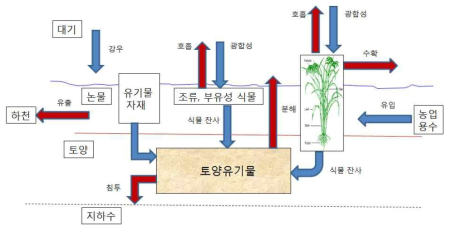 논의 탄소순환 모식도