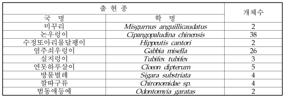 논 시험포장의 동물상