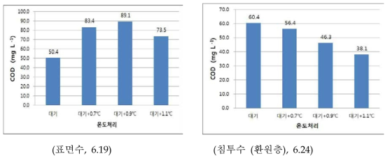 상승온도 처리별 논물의 COD 농도 변화