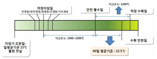 탄소 농도의 하루 중 변화