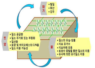 논의 질소순환 관련 주요 인자