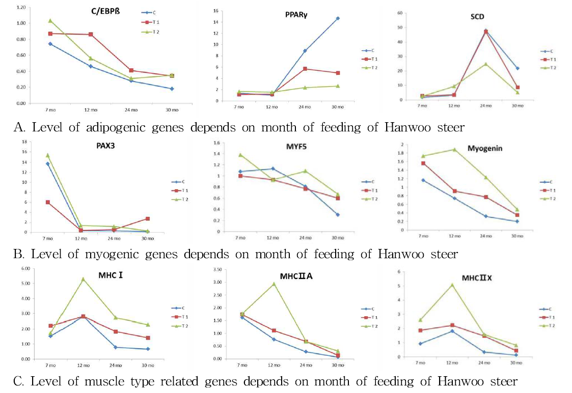 Adipogenic and myogenic gene expression of LD muscle biopsy in Hanwoo steer raised with IRG silage and hay.