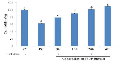 The effect of UP treatment on the cell viability of heat stressed cells incubated for 24 hours. The results are expressed as mean+SD. Bars with different superscript are significantly different