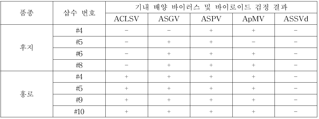 기내배양된 사과 ‘후지’ 및 ‘홍로’ 품종의 바이러스 및 바이로이드 검정