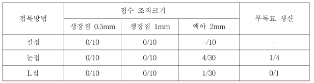 기외 미세접목 조건 검정 및 무독묘 생산