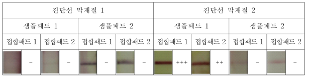 Immuno-strip 진단키트 재료 조합 선정