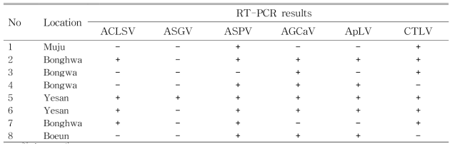 8개의 사과 시료를 RT-PCR에 의하여 분석한 결과.