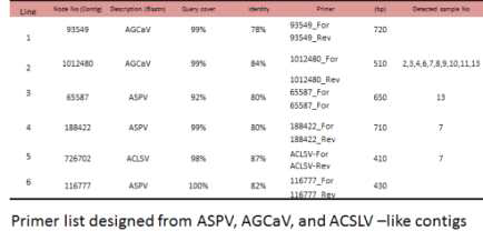 ASPV, AGCaV, 및 ACSLV 유래로 추정되는 contig로부터 설계 및 제작된 primer 리스트 및 각각의 contig에 감염된 건전주 시료
