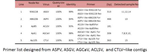 ASPV, ASGV, AGCaV, CTLV, 및 ACSLV 유래로 추정되는 contig로부터 설계 및 제작된 primer 리스트 및 각각의 contig에 감염된 건전주 시료