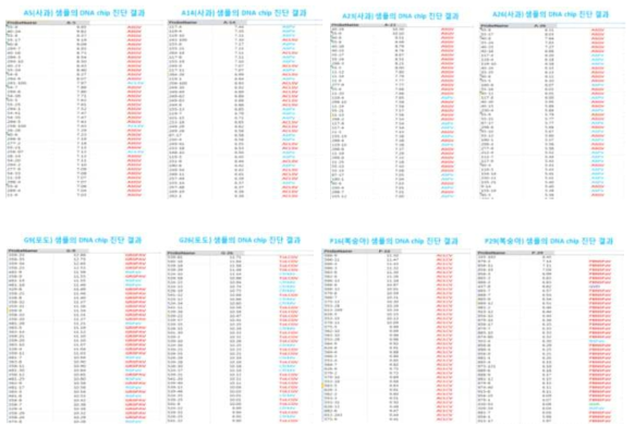 8개 시료 처리에 의하여 나타난 chip 실험 결과.