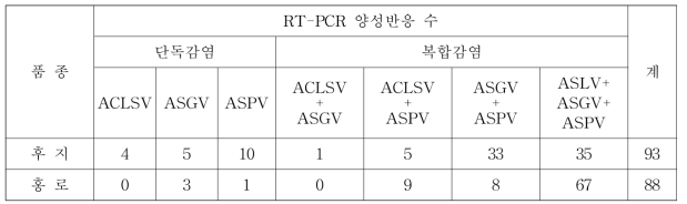 사과 바이러스 이병주 수집을 위한 바이러스 유전자 검정