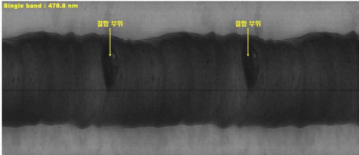 478.8 nm 파장대역에서의 회전 사과의 초분광 영상