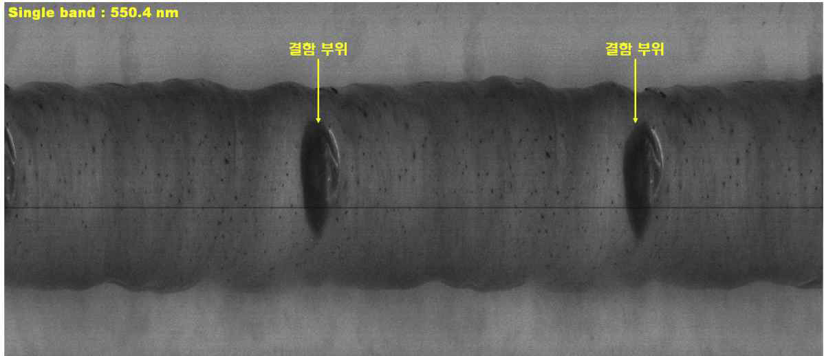550.4 nm 파장대역에서의 회전 사과의 초분광 영상