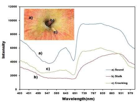 열과 및 정상 부위의 VNIR 초분광 반사 스펙트럼 비교(2번 시료)
