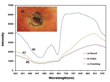 열과 및 정상 부위의 VNIR 초분광 반사 스펙트럼 비교(15번 시료)