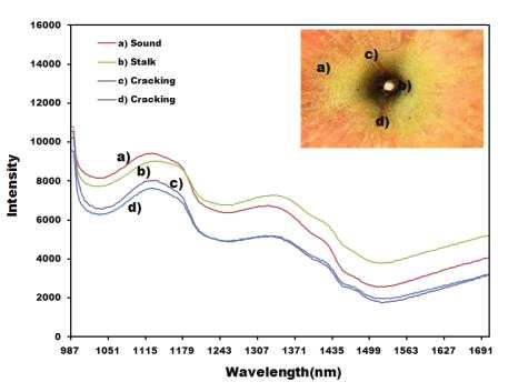열과 및 정상 부위의 SWIR 초분광 반사 스펙트럼 비교(4번 시료)