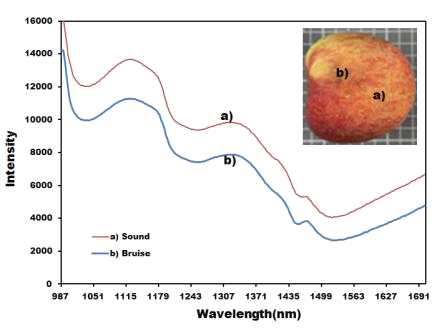 멍 및 정상 부위의 SWIR 초분광 반사 스펙트럼 비교(8번 시료)