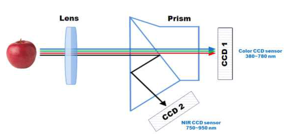 2 CCD 컬러-NIR 카메라 개념도